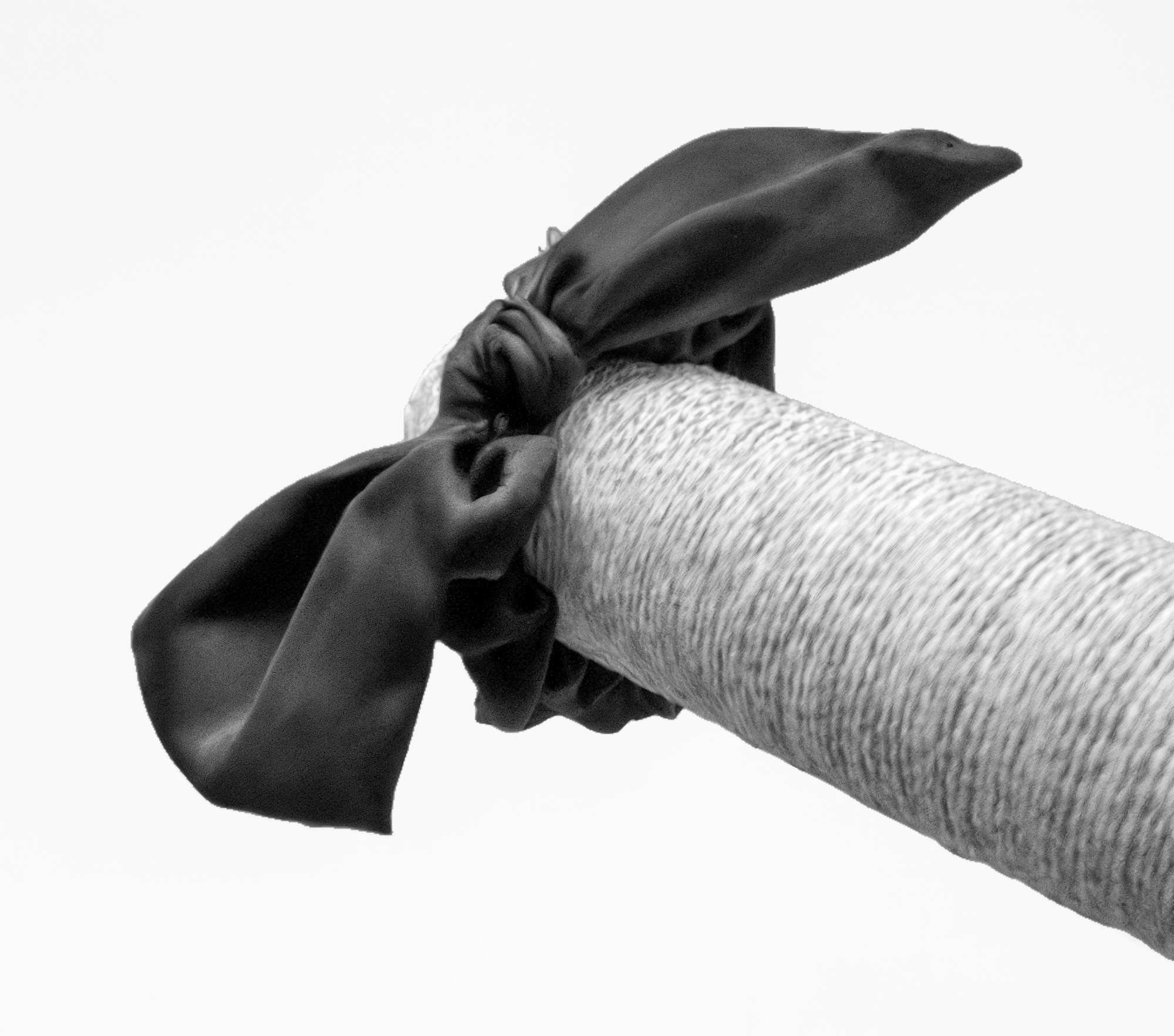 Coletero Lazo Niebla