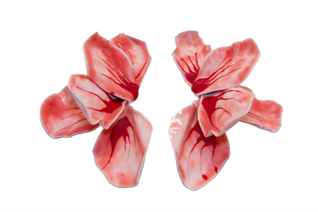 Aretes Pétalos de Rubí