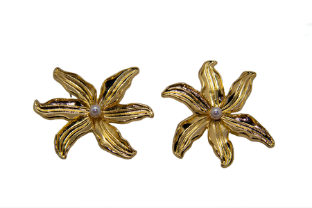 Aretes Estrella del Mar