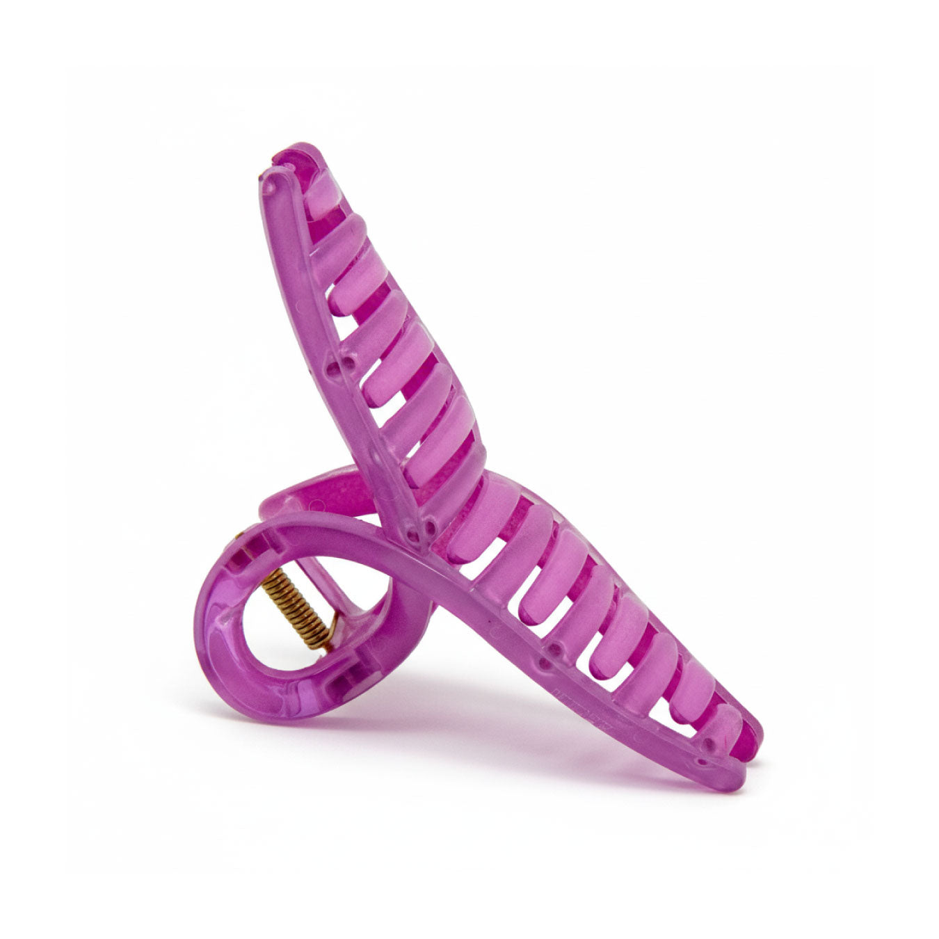 Pinza Amatista