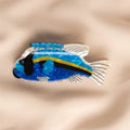 Clip Pinza Pez Tropical - Diseño Marino Blue Mix